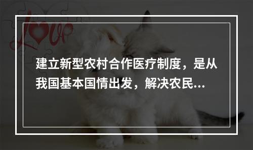 建立新型农村合作医疗制度，是从我国基本国情出发，解决农民看病