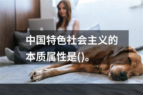 中国特色社会主义的本质属性是()。