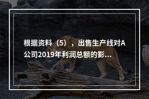 根据资料（5），出售生产线对A公司2019年利润总额的影响金