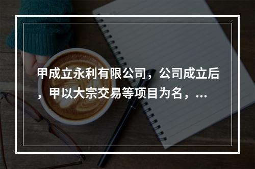 甲成立永利有限公司，公司成立后，甲以大宗交易等项目为名，并以