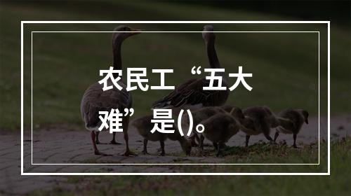 农民工“五大难”是()。