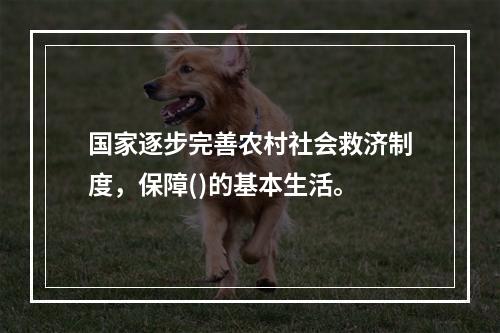 国家逐步完善农村社会救济制度，保障()的基本生活。