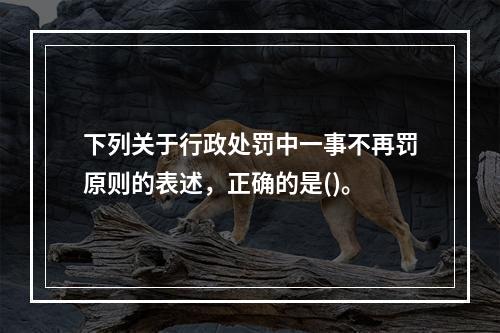 下列关于行政处罚中一事不再罚原则的表述，正确的是()。