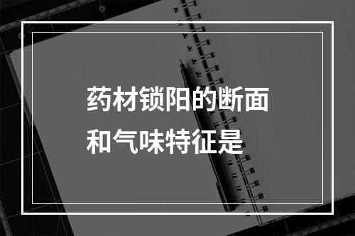 药材锁阳的断面和气味特征是