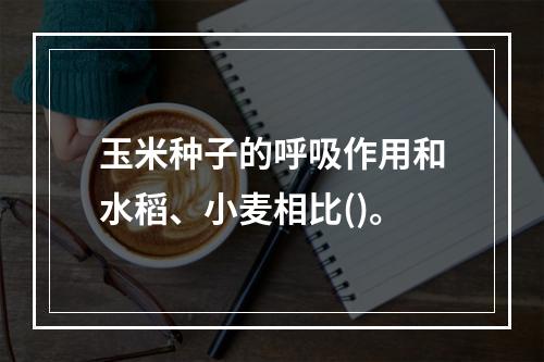 玉米种子的呼吸作用和水稻、小麦相比()。