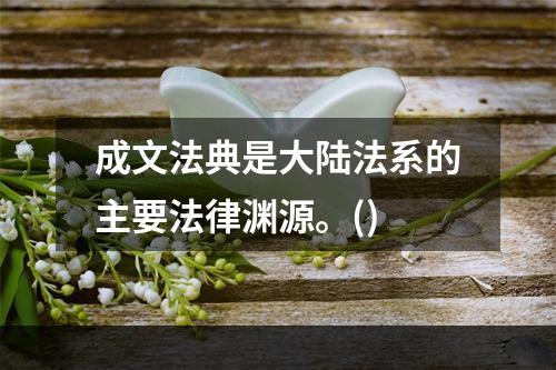 成文法典是大陆法系的主要法律渊源。()