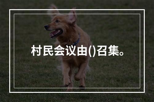 村民会议由()召集。