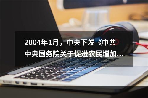 2004年1月，中央下发《中共中央国务院关于促进农民增加收入