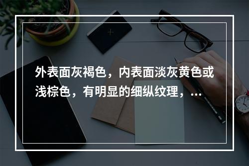 外表面灰褐色，内表面淡灰黄色或浅棕色，有明显的细纵纹理，常见