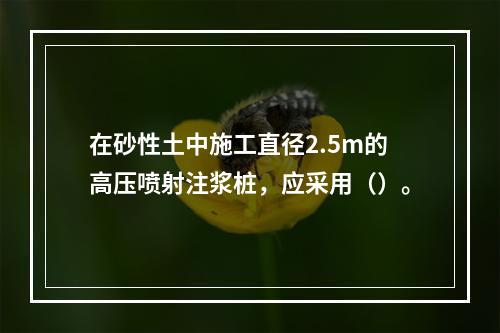 在砂性土中施工直径2.5m的高压喷射注浆桩，应采用（）。