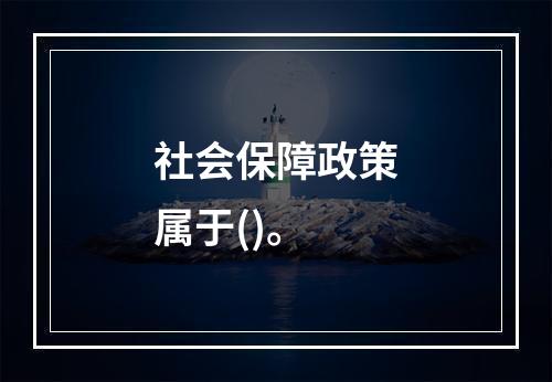 社会保障政策属于()。