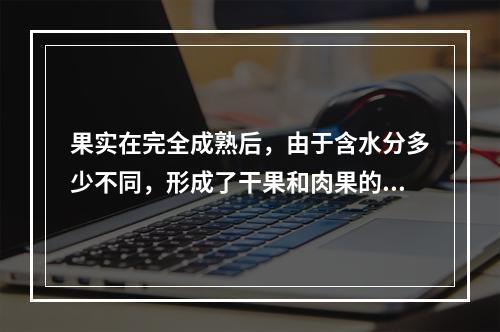 果实在完全成熟后，由于含水分多少不同，形成了干果和肉果的分类