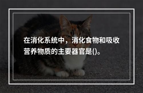 在消化系统中，消化食物和吸收营养物质的主要器官是()。