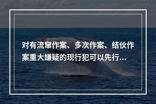 对有流窜作案、多次作案、结伙作案重大嫌疑的现行犯可以先行拘留