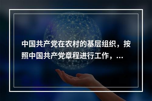 中国共产党在农村的基层组织，按照中国共产党章程进行工作，发挥