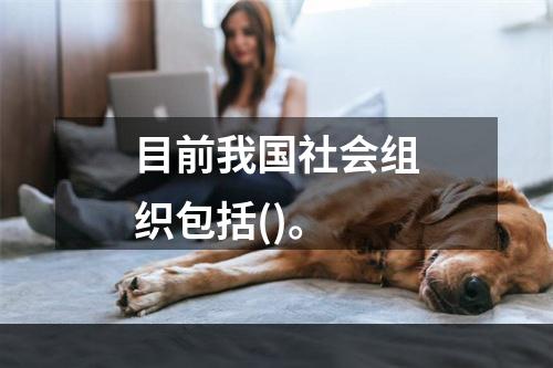 目前我国社会组织包括()。