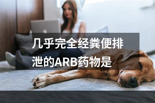 几乎完全经粪便排泄的ARB药物是