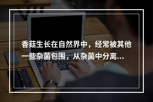 香菇生长在自然界中，经常被其他一些杂菌包围，从杂菌中分离出香