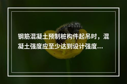 钢筋混凝土预制桩构件起吊时，混凝土强度应至少达到设计强度的（