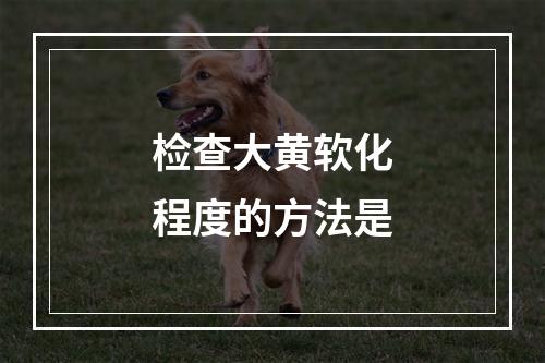 检查大黄软化程度的方法是