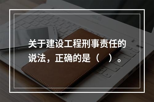 关于建设工程刑事责任的说法，正确的是（　）。