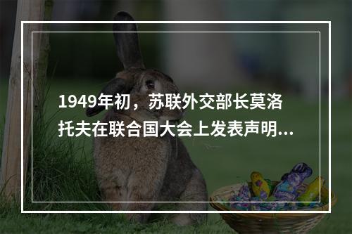 1949年初，苏联外交部长莫洛托夫在联合国大会上发表声明：“