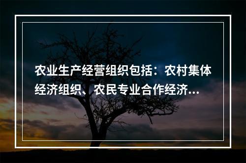 农业生产经营组织包括：农村集体经济组织、农民专业合作经济组织