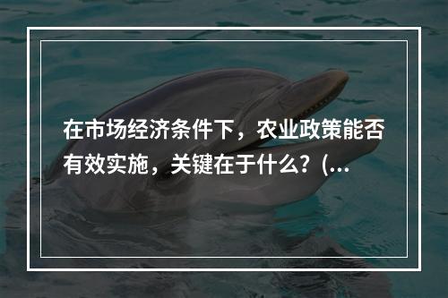 在市场经济条件下，农业政策能否有效实施，关键在于什么？()