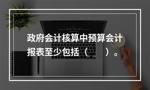 政府会计核算中预算会计报表至少包括（　　）。