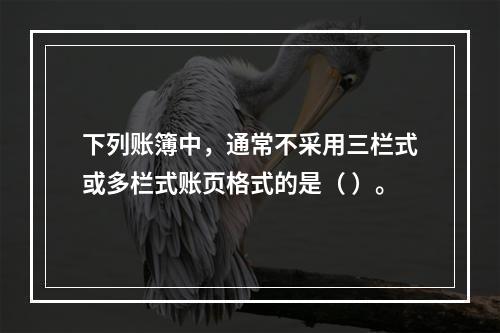 下列账簿中，通常不采用三栏式或多栏式账页格式的是（ ）。