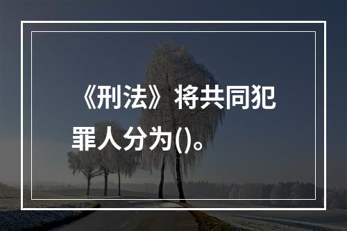 《刑法》将共同犯罪人分为()。