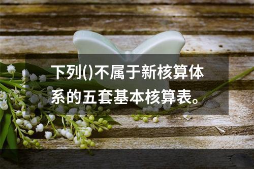 下列()不属于新核算体系的五套基本核算表。