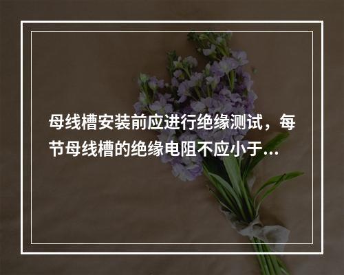 母线槽安装前应进行绝缘测试，每节母线槽的绝缘电阻不应小于（ 