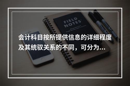 会计科目按所提供信息的详细程度及其统驭关系的不同，可分为（