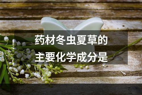 药材冬虫夏草的主要化学成分是