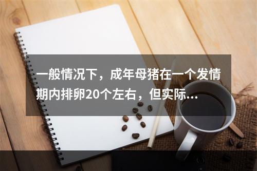 一般情况下，成年母猪在一个发情期内排卵20个左右，但实际上产