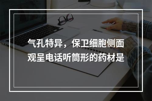 气孔特异，保卫细胞侧面观呈电话听筒形的药材是