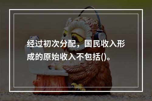 经过初次分配，国民收入形成的原始收入不包括()。