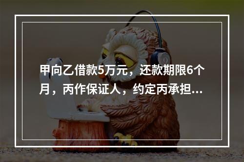 甲向乙借款5万元，还款期限6个月，丙作保证人，约定丙承担保证