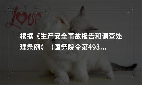 根据《生产安全事故报告和调查处理条例》（国务院令第493号）