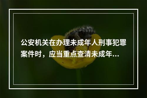 公安机关在办理未成年人刑事犯罪案件时，应当重点查清未成年人实