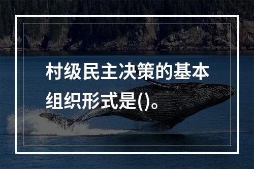 村级民主决策的基本组织形式是()。