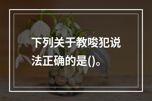 下列关于教唆犯说法正确的是()。