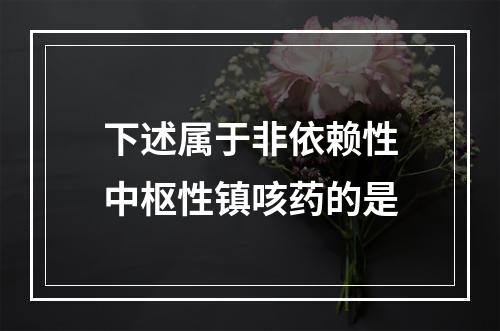 下述属于非依赖性中枢性镇咳药的是