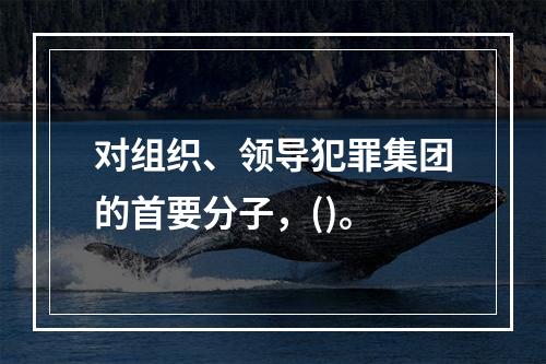 对组织、领导犯罪集团的首要分子，()。