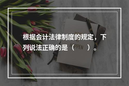 根据会计法律制度的规定，下列说法正确的是（　　）。