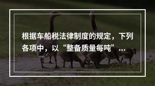 根据车船税法律制度的规定，下列各项中，以“整备质量每吨”为计