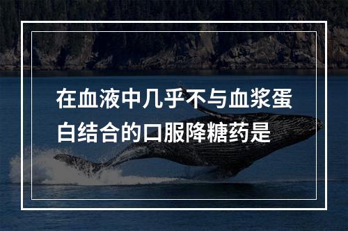 在血液中几乎不与血浆蛋白结合的口服降糖药是