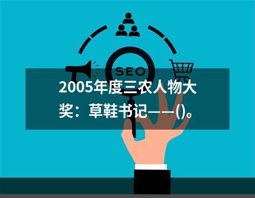 2005年度三农人物大奖：草鞋书记——()。