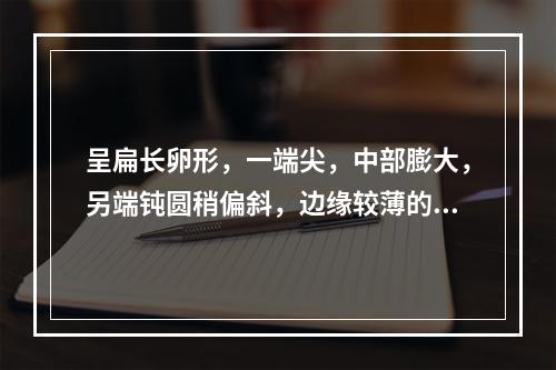 呈扁长卵形，一端尖，中部膨大，另端钝圆稍偏斜，边缘较薄的药材